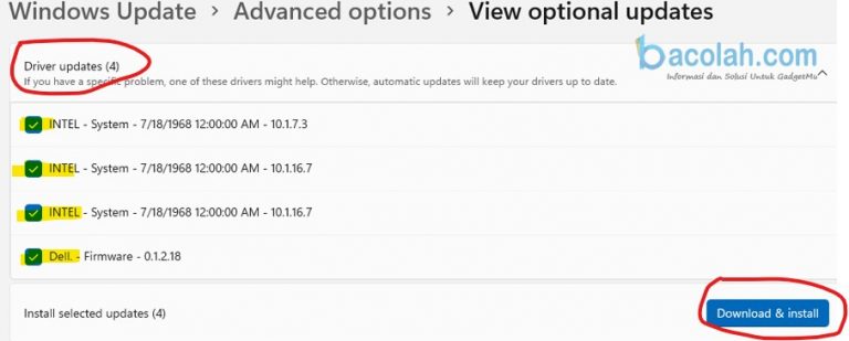 Cara Update Driver di Windows 11 Secara Otomatis - Bacolah.com