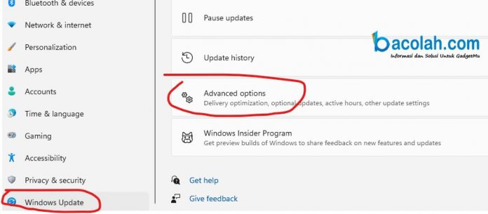 Cara Update Driver di Windows 11 Secara Otomatis - Bacolah.com